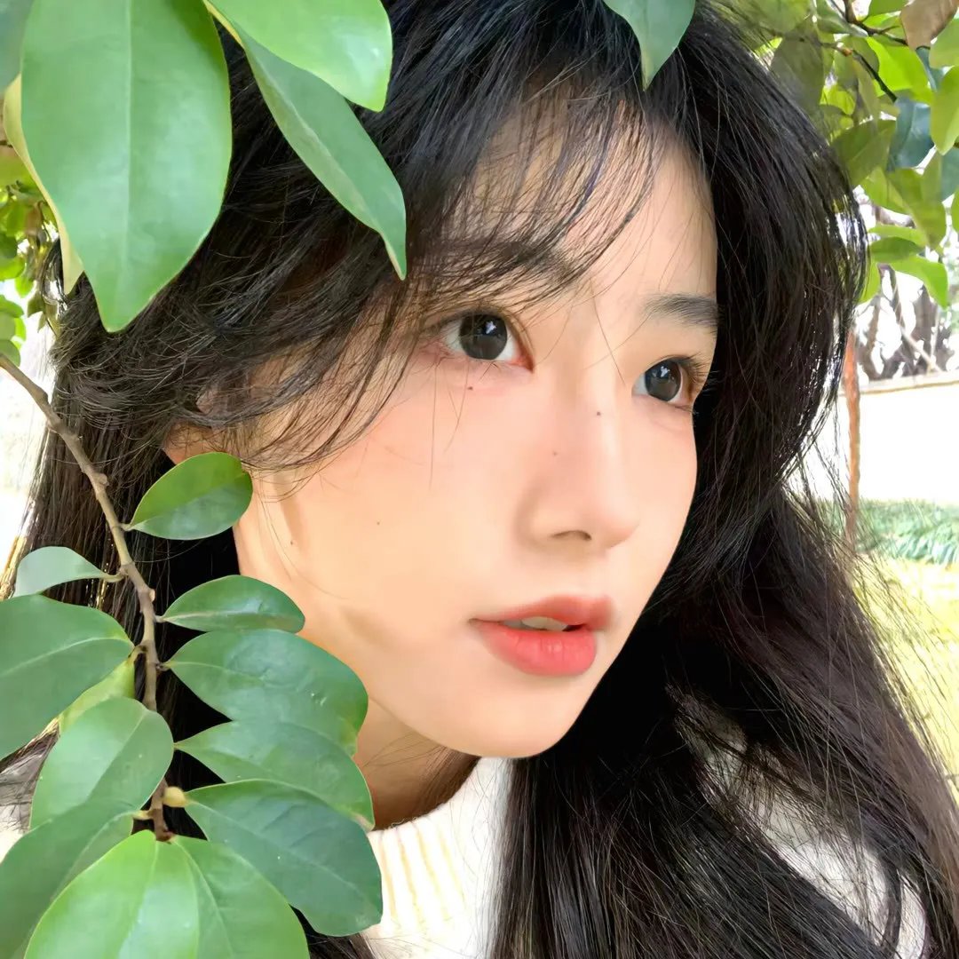 我和我的村